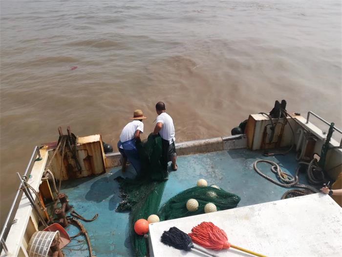 1506501864211906.jpg 4.jpg